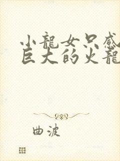 小龙女只感觉那巨大的火龙枪