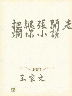 把腿张开老子臊烂你小说