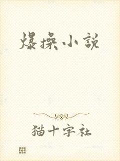 爆操小说