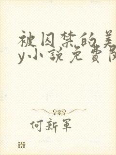 被囚禁的美人by小说免费阅读