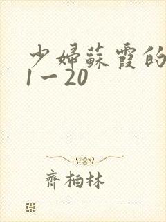 少妇苏霞的沉沦1一20