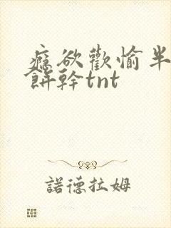 瘾欲欢愉半块小饼干tnt