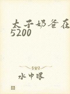 太子奶爸在花都5200