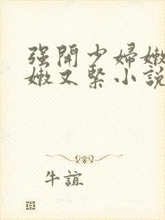 强开少妇嫩苞又嫩又紧小说