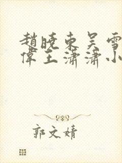 赵晓东吴雪晴郑伟王潇潇小说名字