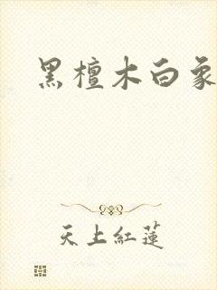 《黑檀木白象牙》小说封面