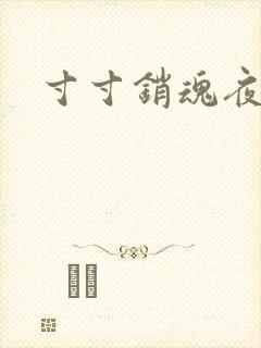 寸寸销魂夜春光