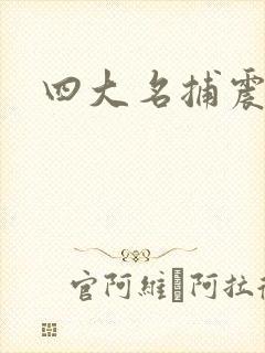 四大名捕震关东