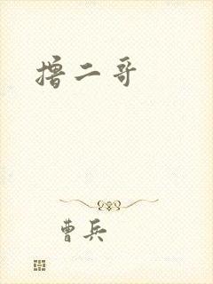 《撸二哥》小说封面