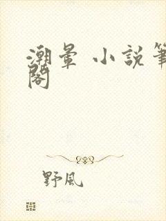 潮晕 小说笔趣阁