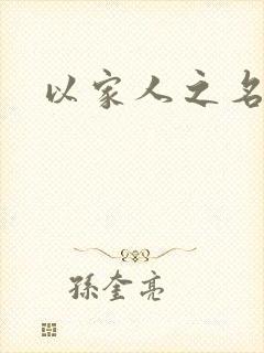 以家人之名小说