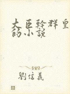 《大臣干群皇太后的小说》小说封面