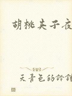 胡桃夹子夜未眠