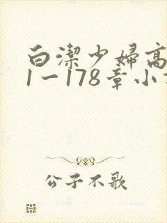 白洁少妇高义第1一178章小说