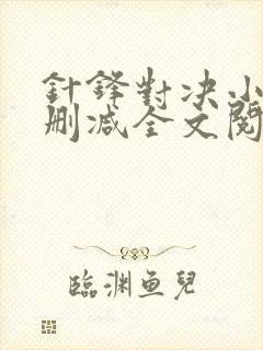 针锋对决小说未删减全文阅读