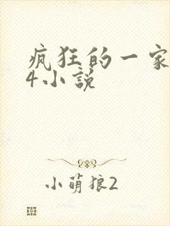 疯狂的一家ps4小说