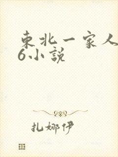 东北一家人1一6小说