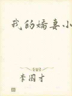 我的娇妻小说