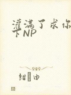 灌满了求你们停下NP
