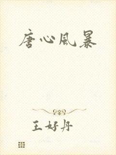 唐心风暴