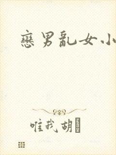 恋男乱女小说