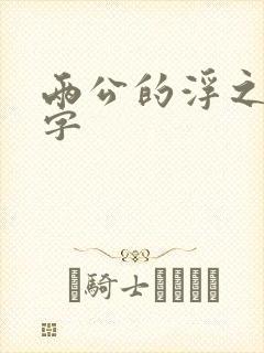 两公的浮之手中字