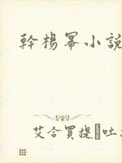 干杨幂小说封面