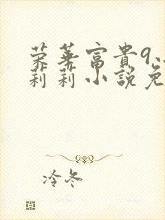 荣华富贵9小王莉莉小说免费阅读