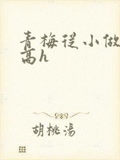 青梅从小做到大高h