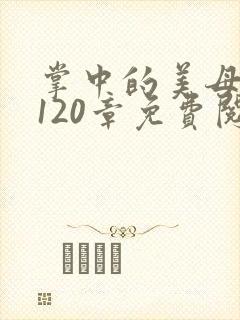 掌中的美母版主120章免费阅读