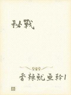 秘战封面