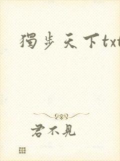 独步天下txt