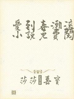 爱到春潮滚滚来小说免费阅读