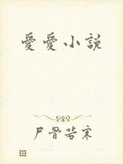 爱爱小说