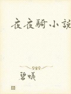夜夜骑小说