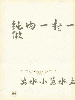 纯肉一对一到处做