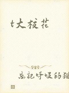 t大校花