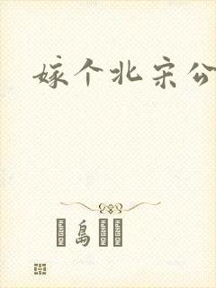 嫁个北宋公务员