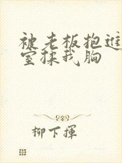 被老板抱进办公室揉我胸