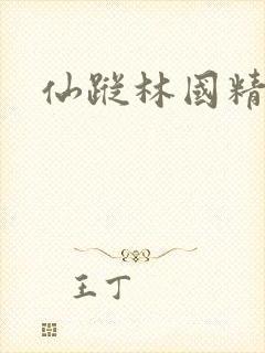仙踪林国精产品