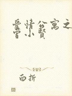 爱情公寓之极品曾小贤