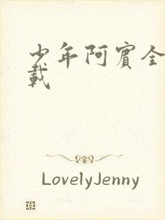 少年阿宾全集下载