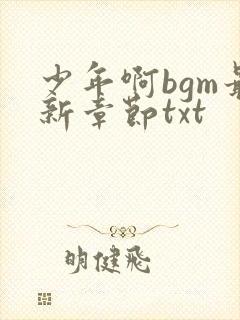 少年啊bgm最新章节txt