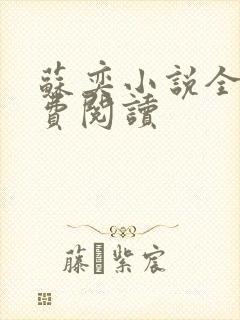 苏奕小说全文免费阅读