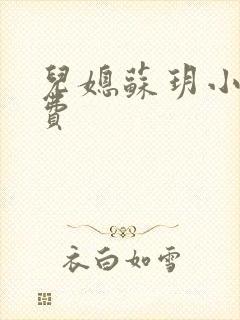 儿媳苏玥小说免费