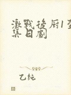 激战后厨1至5集日剧