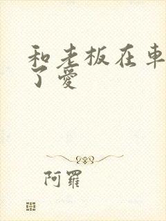 和老板在车里做了爱