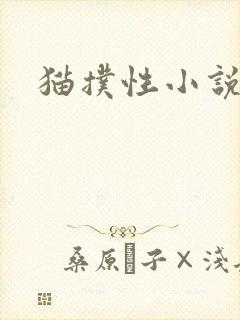 猫扑性小说
