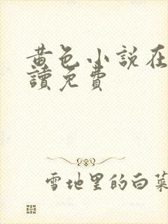 黄色小说在线阅读免费