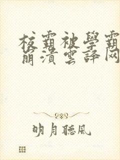 校霸被学霸玩到崩溃云译网